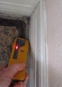 Mold Inspection Moisture Meter